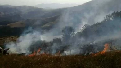 مهار آتش سوزی در جهان نما