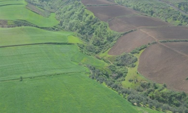 زمین خواری میلیاردی در مینودشت